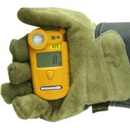 Gasman H2S 0-100 ppm Non-rechargeable GASMAN H2S